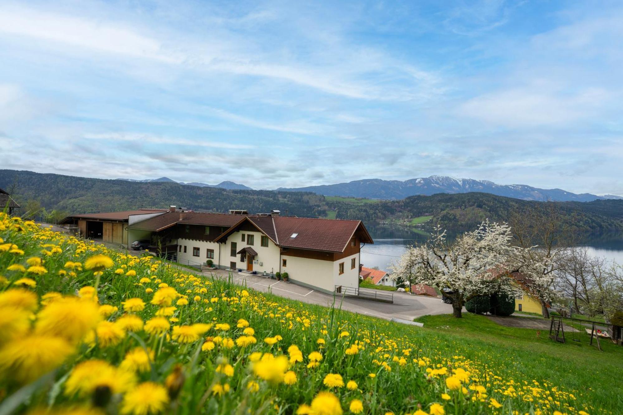 Fruehstueckspension Goetzfried-Hof Millstatt Kültér fotó
